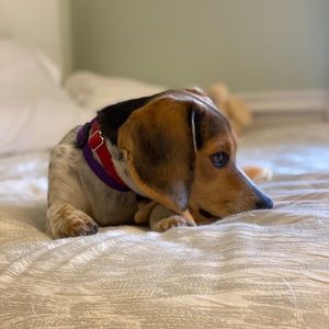 Meet your Posher, Julia